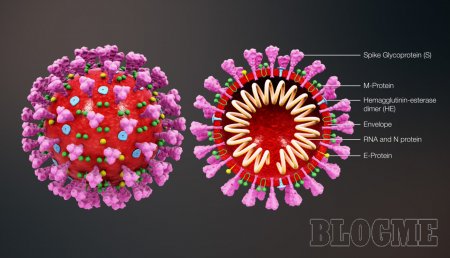 Сколько длится инкубационный период коронавируса